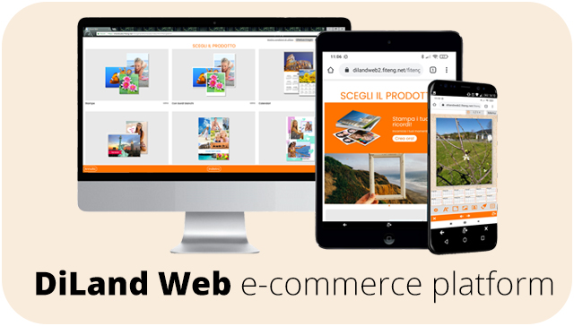 DiLand Web e-commerce platform
